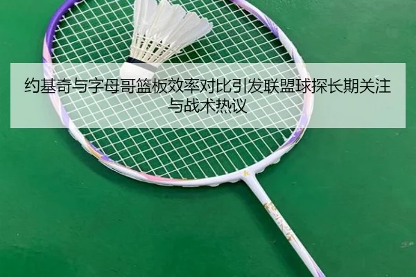 约基奇与字母哥篮板效率对比引发联盟球探长期关注与战术热议
